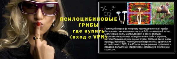 гашик Алексеевка