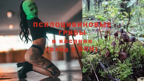 твердый Алексин