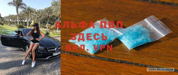 гашик Алексеевка