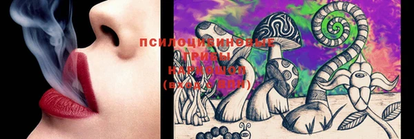 гашик Алексеевка