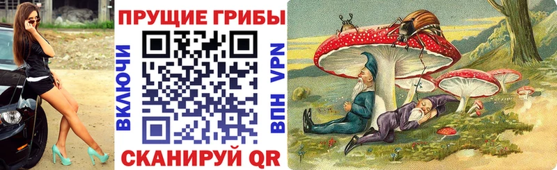 дарнет шоп  МЕГА как войти  Галлюциногенные грибы Magic Shrooms  Апшеронск 
